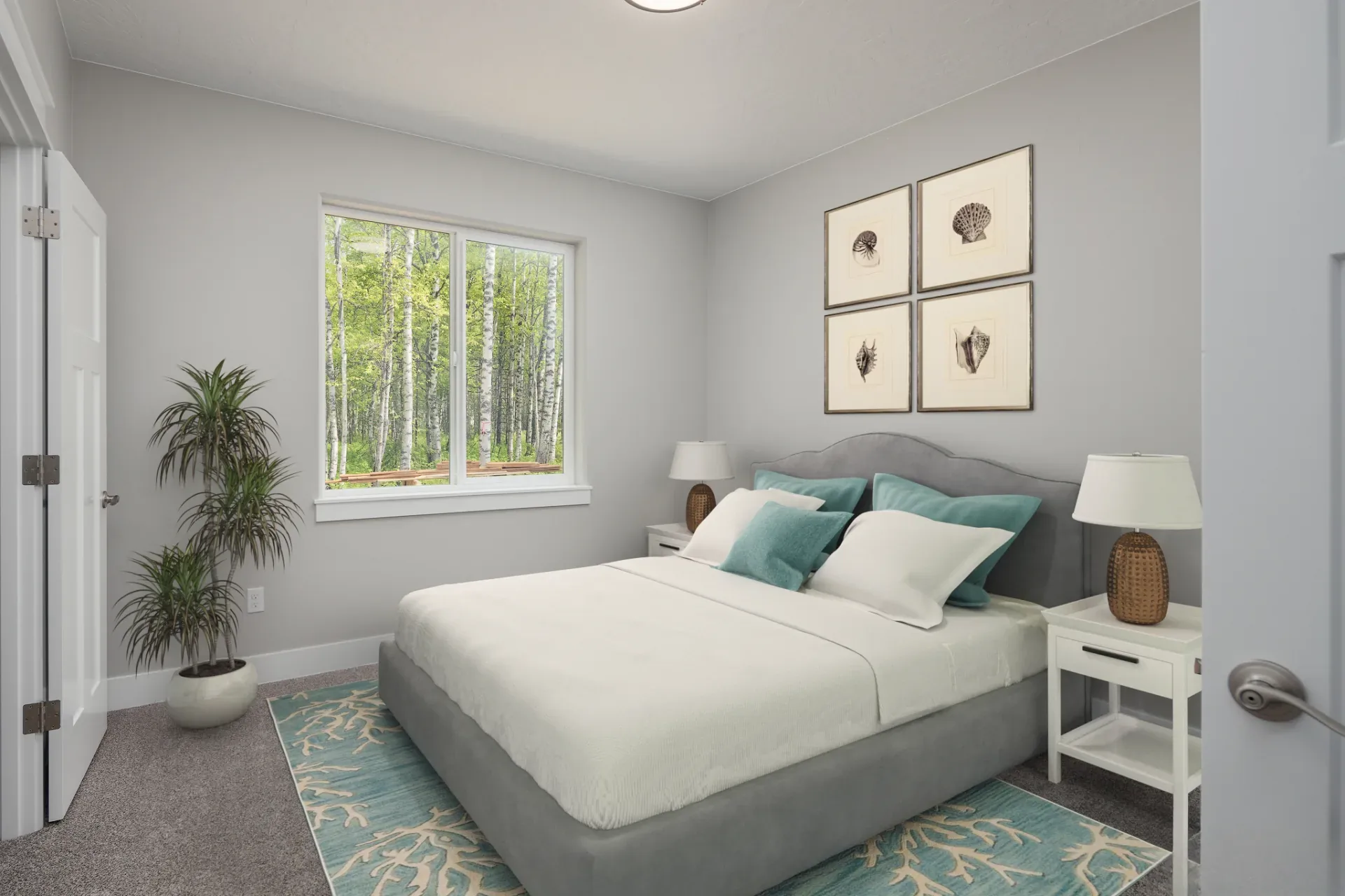 Aurora Ridge 2