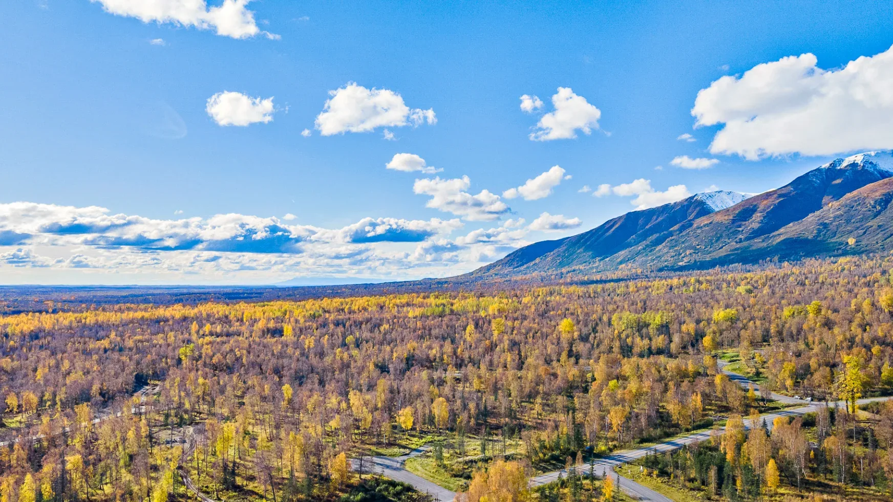 Fishhook Heights
